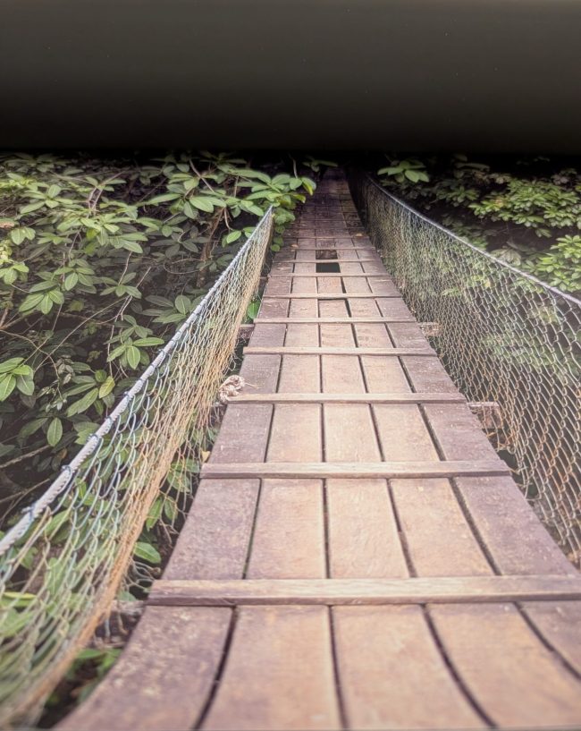 Ferrofolie teilweise aufgerollt mit brillantem Druck