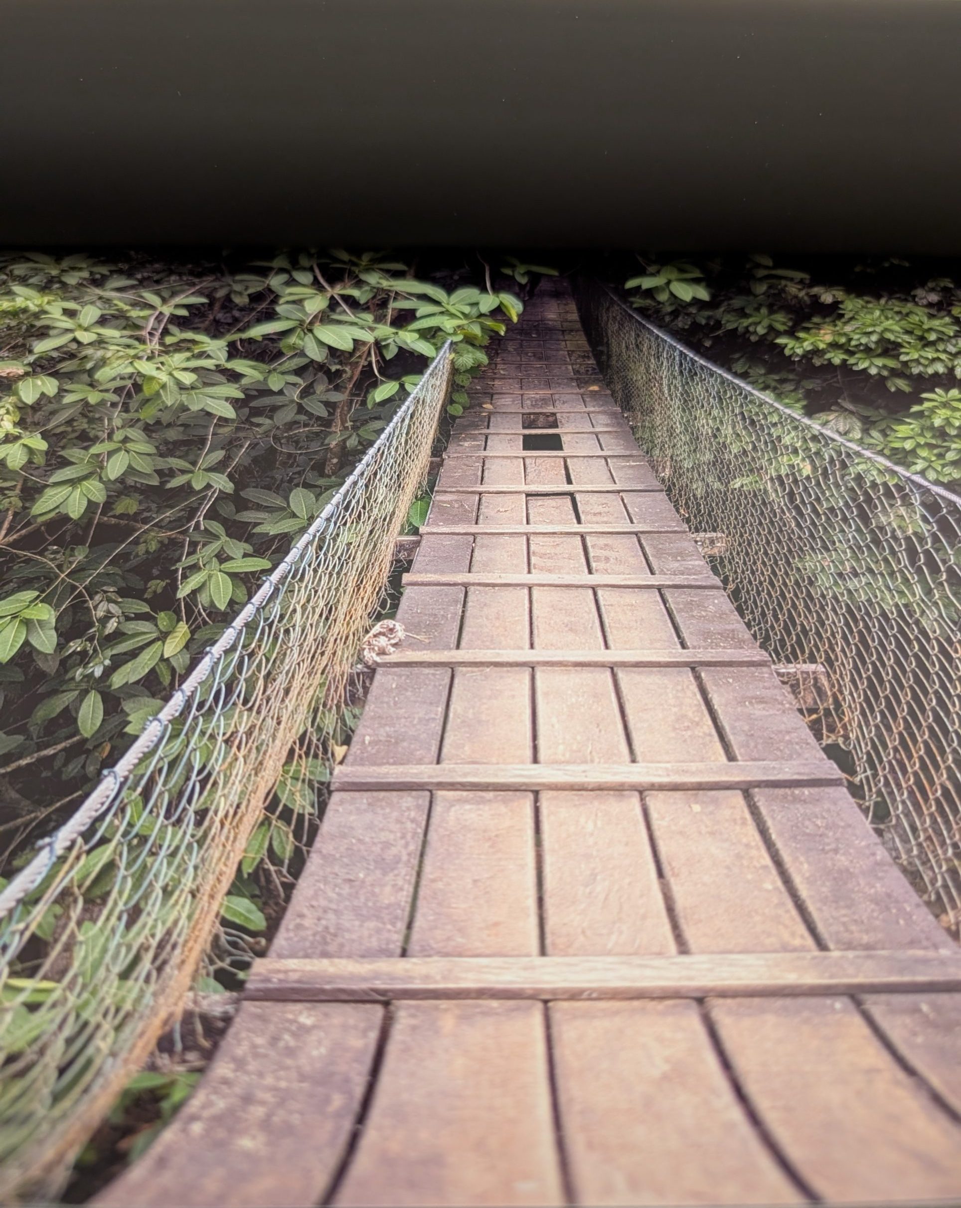 Ferrofolie teilweise aufgerollt Ferrofolie teilweise aufgerollt mit brillantem Druck